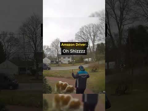 Delivery Driver's First Time Seeing This Beast 🤯 #funny #dog #shorts