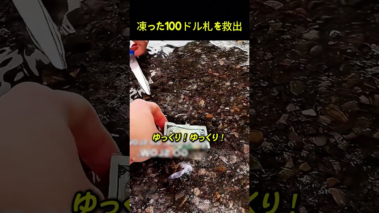 凍った100ドル札を救出