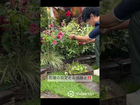 園芸 植栽の許可