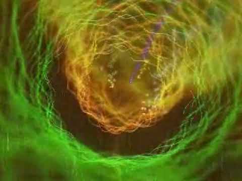 Niko Srebrov 2003 - Life In a Box