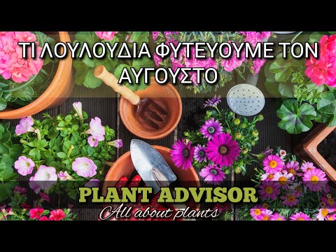 , title : 'Τι Λουλούδια Φυτεύουμε Τον ΑΥΓΟΥΣΤΟ για να Δώσουμε Χρώμα στον Κήπο μας ‼️Plant Advisor Greece'