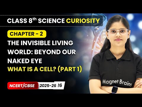 Class 8 Science Curiosity Book – Full Book Overview NCERT CBSE 2025 26 New Syllabus Explained