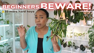‼️10 More of the Most Difficult Hoya I Own 🙅🏽♀️ Warning!! Not Beginner Friendly🥀