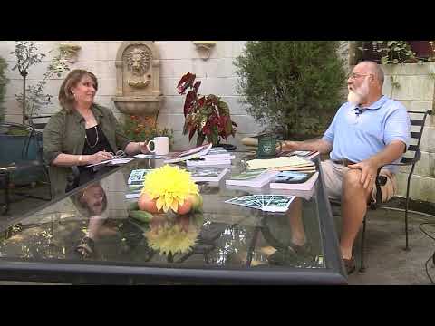 Write Around the Corner with Charles Lytton - Episode 407