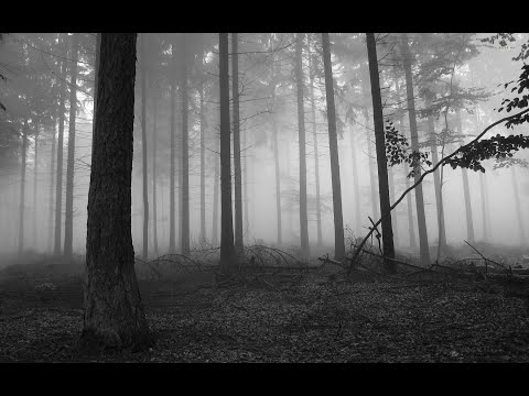 goreshit - benzo (with me eternal) osu! choke 500pp