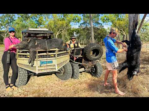 3 Day Hunting In Australia's Wild North (Hogs, Dogs And Quads Chaos)