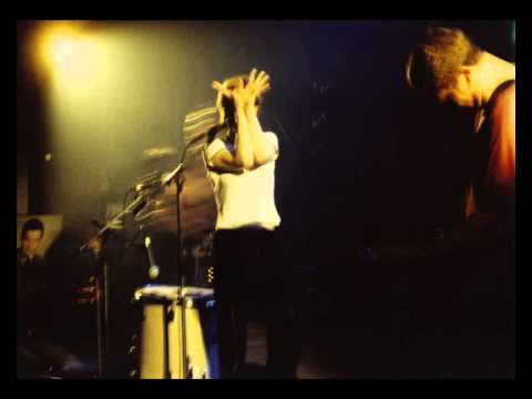 Dog Faced Hermans - John Peel Sessions (1987)