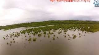 preview picture of video 'Mangrove fishing Quepos Costa Rica with Mar1 Sport Fishing Quepos'