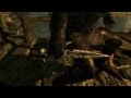 Skyrim - Nightingale Assassin 