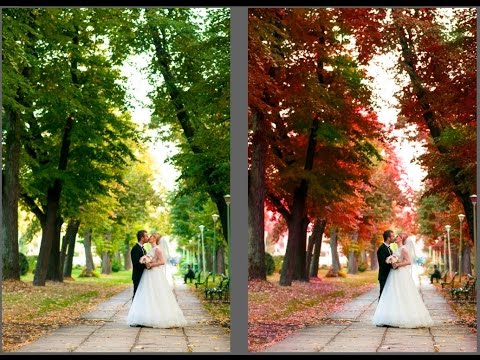 tipuri de viermi plate taram condiloame pe pielea feței
