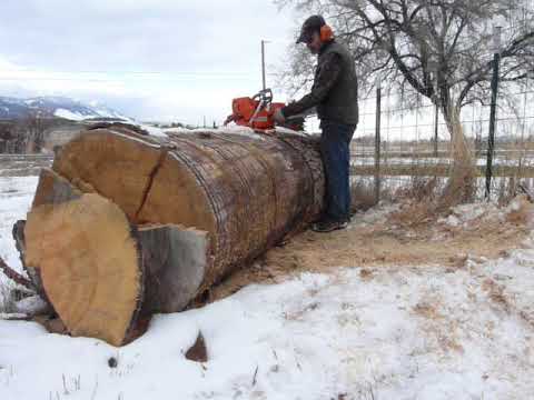 395xp Husqvarnas Insane O ized!!!