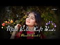 MIND RELAX LOVE SONG Love LOFI MIND FRESH LOFI Love Mashup PART 116