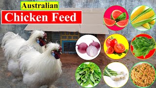 Australian Silkie Chicken Feed | Food List | Organic Chicken Feed | Birds and Animals Planet