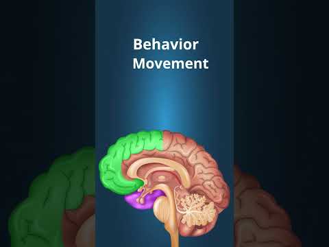 What is frontotemporal dementia? #dementia #ftd #frontotemporal #NIHAging