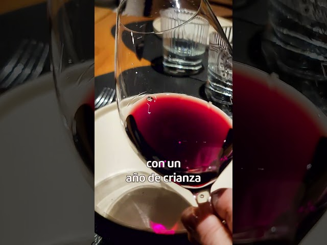 Vídeo relacionado con El Castro de Valtuille Mencía Joven, vino tinto fresco y afrutado del Bierzo con notas florales y minerales, elaborado con variedades tradicionales| 6 botellas