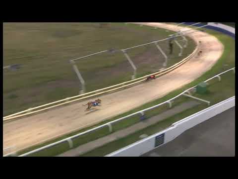 Bockos Doomie 11:7:20