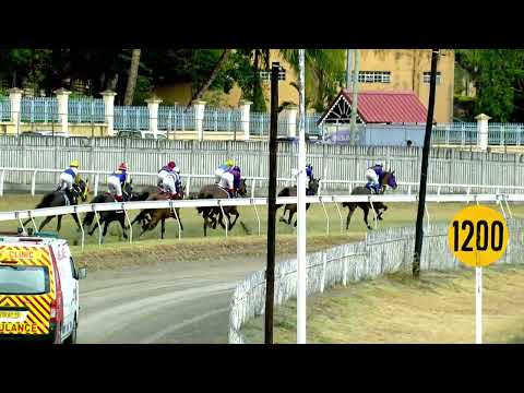 31eme journée - Race 1 - Artax