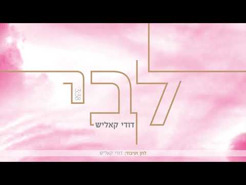 דודי קאליש - לִבִּי | Dudi Kalish - Libi