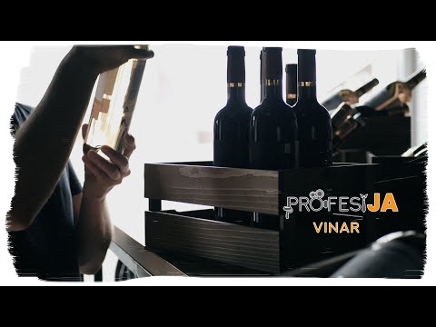 PROFESIJA 3 - Vinar