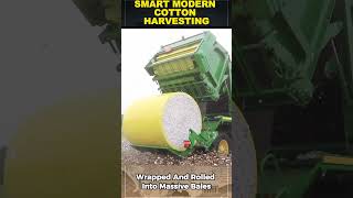 The Fastest Way To Harvest Cotton