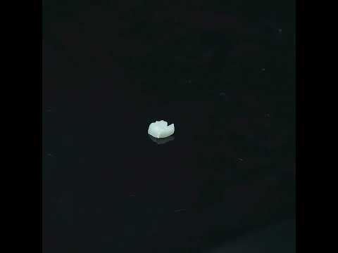 YouTube 썸네일