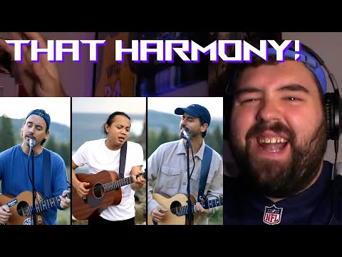 Singer/Songwriter FIRST TIME REACTION to MUSIC TRAVEL LOVE/FELIX IRWAN -I DON'T WANT TO MISS A THING