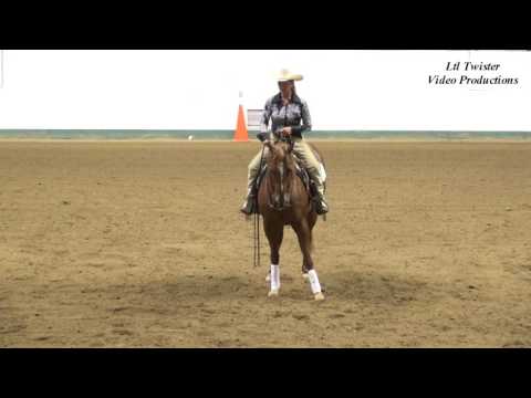 Diana McBurney & Chicks Comand It All - NRHA Rookie at NCRHA Extravaganza - June 4, 2016