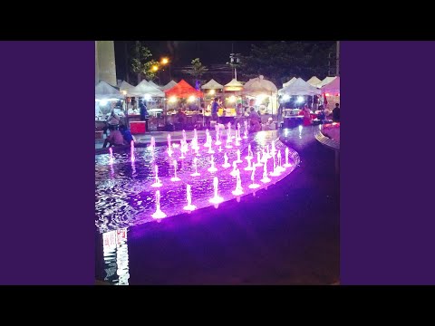 Reflections II: If I Could Only Save You