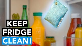 BEST WAY TO CLEAN & REMOVE BAD FRIDGE ODORS - NO Chemicals & Lasts 2 YEARS