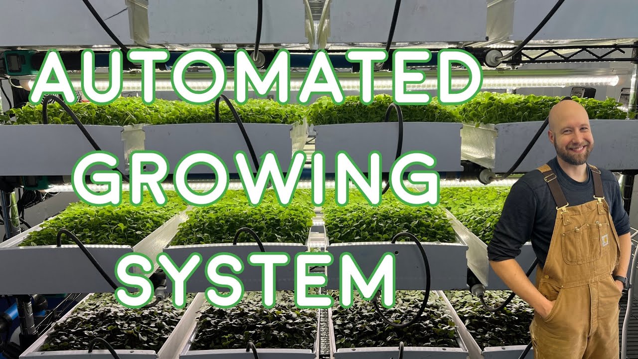 Introducing Urban Greens' Automated Microgreen System