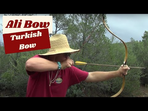Ali Bow Nomad Warrior and Turkish Bow, Review and Field Test