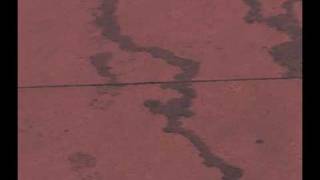 HORSE the Band - Murder