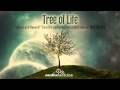 Above and Beyond by Audiomachine