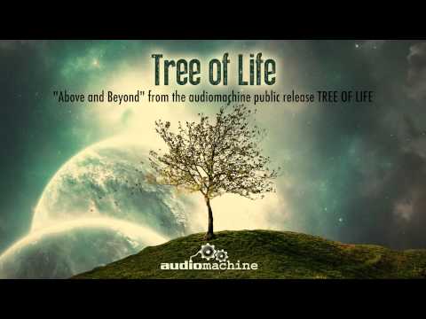 Above and Beyond