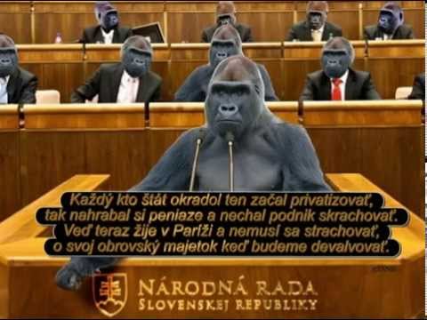 rock rose - Rock Rose - Nemá problémy, gorila