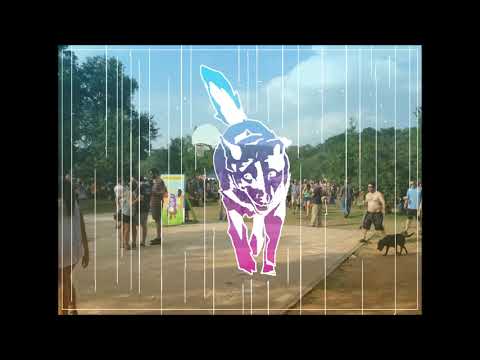 Lift The Walls - bitbeak