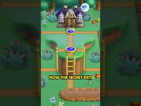 Mario Bros. Wii's Warp Cannons are BROKEN