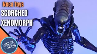 Neca Alien Romulus Scorched Xenomorph Action Figure Review