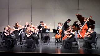WASD Chamber Orchestra - Dvorak Piano Quintet, Op. 81