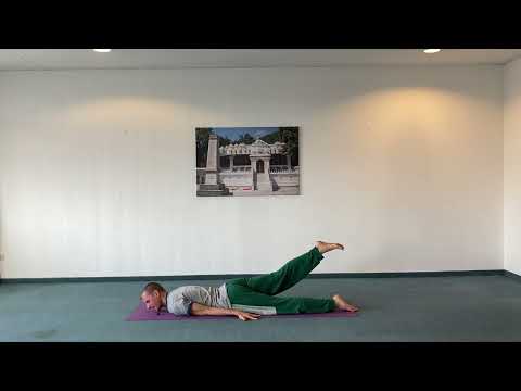 Shalabhasana - die Heuschrecke