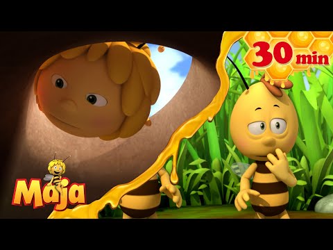 🌈 Der Regenbogen auf der Wiese! - Die Biene Maja🐝🍯🐝 - FULL COMPILATION