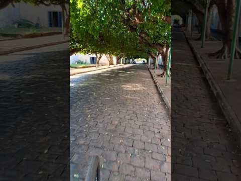 Compartilhe e segue o canal ,Rua da árvore Sales Oliveira SP. #salesoliveira