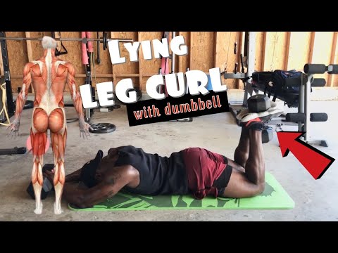 LYING LEG CURL for HAMSTRING DEVELOPMENT using ONE DUMBBELL (EXERCISE TUTORIAL)