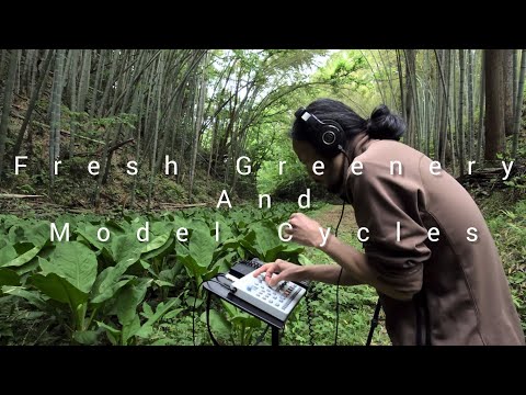 ELEKTRON Model:Cycles 81