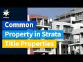 Strata Management | Common Property in Strata Title Properties