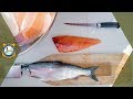How To Fillet A Fish Easy Instructions