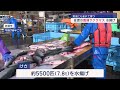 春の魚「サクラマス」引き締まった身と歯ごたえが自慢 佐渡沖で養殖【新潟･佐渡市】スーパーjにいがた4月11日oa