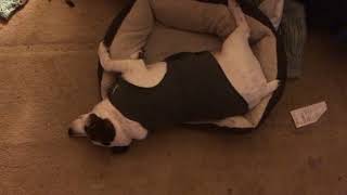 I SURVIVIED A HURRICANE