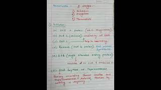 #dna replication in prokaryotes