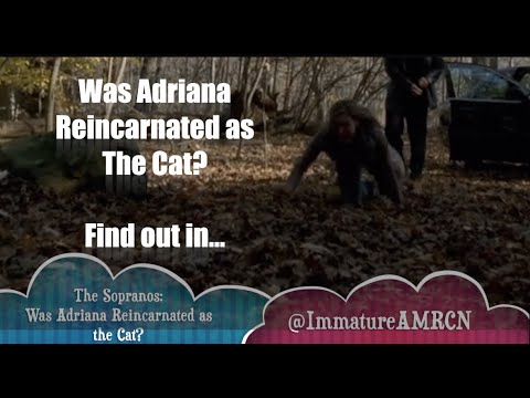 The Sopranos: Was Adriana Reincarnated as the Cat?